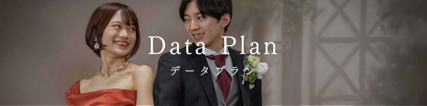 dataplan_link